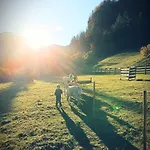 Familienzeit Ramsau am Dachstein