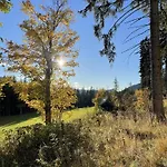 Familienzeit * Ramsau am Dachstein