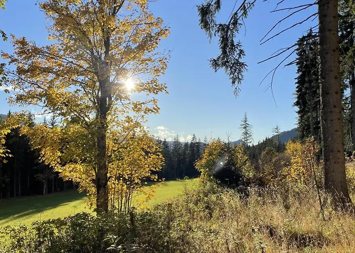 Familienzeit * Ramsau am Dachstein